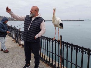 O Leylek Meşhur Oldu, Gören Cep Telefonuna Sarılıyor