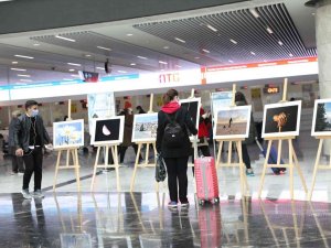 Artan Tren Seferleri İle Ankara Tren Garı Hareketleniyor