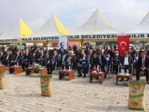 ’Tohumum Yerli Üretimim Milli Projesi’ Kapsamında Tohumluk Buğday Dağıtıldı