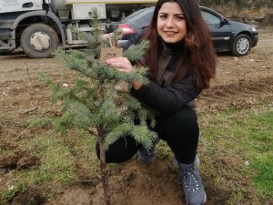 Şen: “Orman Varlığımızı Arttırıyoruz”