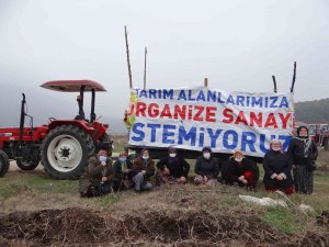 Gölpazarı’nın Çehresini Değiştirecek Olan Gıda İ̇htisas Osb’nin Kurulmasına Tepki