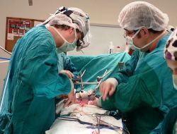 Pankreas Kanserine En Büyük Etken Sigara