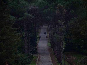 Atatürk Arboretumu’nda Renk Cümbüşü
