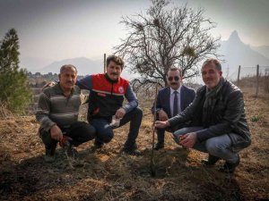 Boş Tarlalar Meyve İle Bereketlenecek