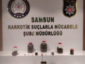 Samsun’da 2,8 Kilo Esrar Ele Geçirildi: 3 Gözaltı