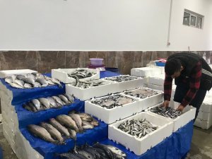 Balık Satışları Arttı, Esnafın Yüzü Güldü
