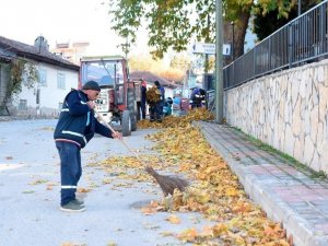 İ̇nönü’de Sonbahar Temizliği