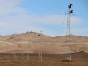 Vedaş, Kesintisiz Enerji İçin Yatırımlarını Sürdürüyor
