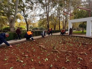 Kozan’da Parklar 225 Bin Çiçek İle Kışa Hazırlanıyor