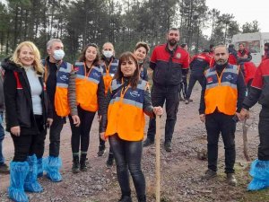 Kartal Belediyesi Ekipleri Fidanları Toprakla Buluşturdu
