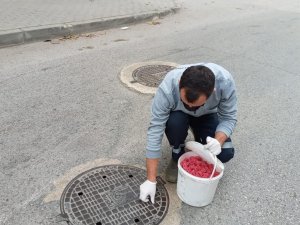 Haşerelere Karşı Mücadele