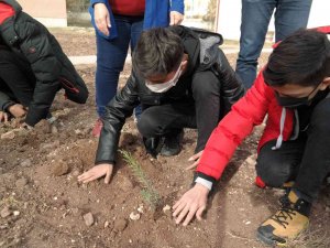 Öğretmenlerine Bir Çiçek Yerine Çiçek Bahçesi Hediye Ettiler