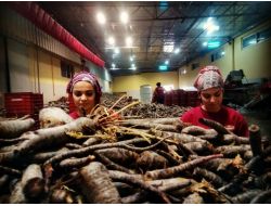 Şifa Niyetine Şalgam