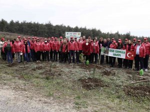 Coca-cola Hatıra Ormanları’nda 50 Bin Fidan Yeşerecek