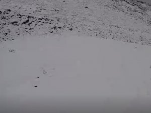 Denizli’de Yılın İlk Karı Toprakla Buluştu