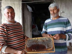 Şifa Deposu Püren Balının Kilosu 125 Lira