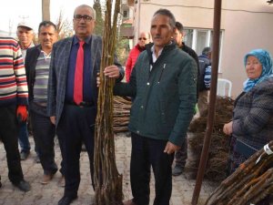 Çameli Belediyesi’nden Ceviz Üretimine Dev Destek