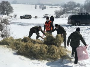 Yaban Hayvanlarına 70 Ton Yem Bırakılacak