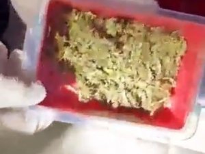 Polis Operasyonundan Habersiz Uyuşturucu Almaya Geldiler, Yakayı Ele Verdiler