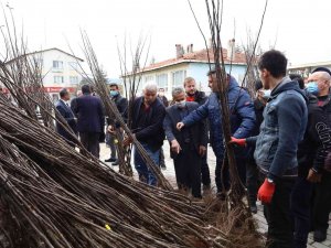 Harmancık Ayva İle Markalaşacak
