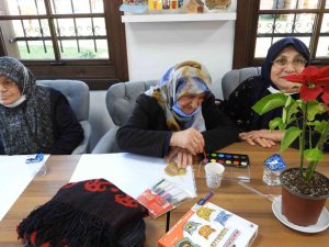 Sonbahara Veda: Yaşlılara Terapi