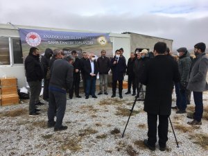 Kırşehir’de "Anadolu Arı Islahı Projesi" Tanıtım Toplantısı Yapıldı