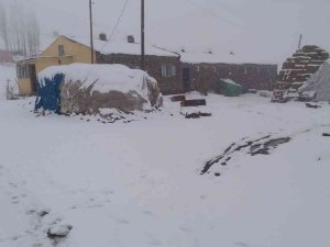 Tuzluca’da Kar Yağışı Etkili Oluyor
