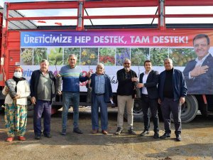 Büyükşehir Belediyesinin Ceviz Fidanı Dağıtımı Sürüyor