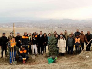 Van Büyükşehir Belediyesi 1 Yılda 30 Bin Fidanı Toprakla Buluşturdu