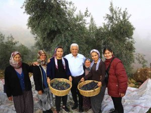 Başkan Gürün Hasat Yaptı, Köylüyü Uyardı