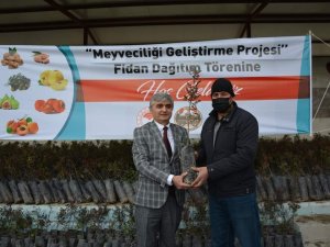 Selendi’de Antep Fıstığı Üretimi Artırılacak