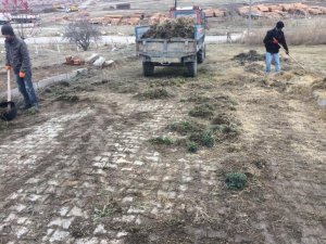 Emet Belediyesinden Çevre Düzenleme Ve Temizlik Çalışması