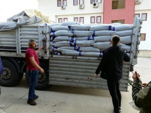 Aydın’da Yüzde 75 Hibeli Tohumların Dağıtımı Tamamlandı