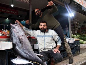 Dev Orkinos Görenleri Hayretler İçinde Bıraktı