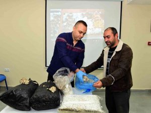 Yıldırım’dan Girişimci Adaylarına Mantarcılık Kursu