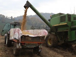 Ordu’da Atıl Araziler Tarıma Açılıyor