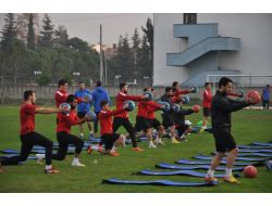 Renkdaşların Liderlik Savaşı