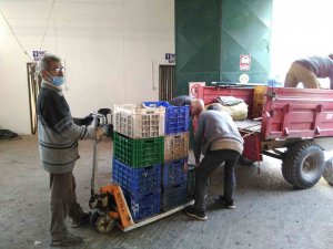Erdek Zeytin Kooperatifinden Elek Desteği