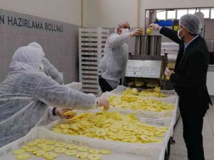 Sındırgı’dan Dünyaya Jeotermalle Sağlıklı Gıda