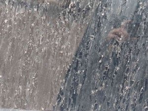 Tekirdağ’da Gökten Çamur Yağdı