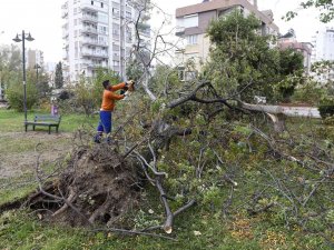 Muratpaşa’da Hortumun Bıraktığı İzler Temizleniyor