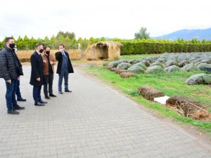 Burhaniye’de Bubyo-baçem İşbirliği