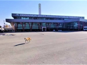 Osmancık Otobüs Terminaline Atm Talep Ediliyor