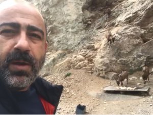 Yaban Keçileriyle Selfie Pozu