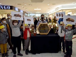 Arvaryum’da Çocuklar Arıları Tanıdı