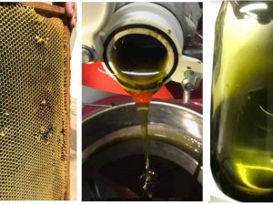 Buü’lü Akademisyenler Tamamen Doğal Arı Yemi Ve Fonksiyonel Bal Üretti