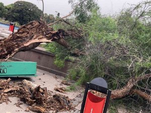 İ̇zmir’de Fırtına Raporu