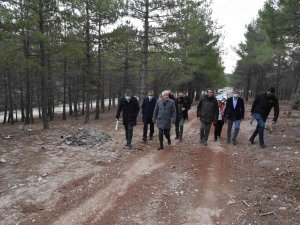 Isparta’da 110 Bin Metrekarelik Alana ‘Millet Ormanı’ Kuruluyor