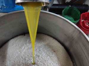 Ağaçlar Yandı, Zeytin Yağı 50 Lirayı Buldu