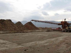 Muş Ekonomisine 350 Milyon Liralık Şeker Katkısı